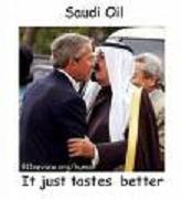 saudi bush.jpg