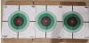 Ruger Ranch 25 and 50 Yards