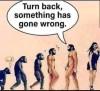 Turn Back.jpg