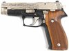 BBQ SIG P226