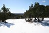 IMG_4553s.jpg