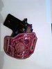 P238 with Holster.JPG