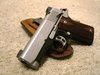Kimber.jpg