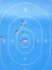 target.gif