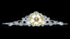 CWP Tiara.gif