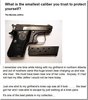 survives-bear-attack-small-caliber-pistol-image001.jpg