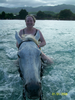 One of the things we did was go horseback riding in the ocean, in Jamaica.  My wife, who has never ridden a horse, and who hates to go into water where there are fish and other things, had an absolute blast.
