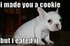 cookie.jpg