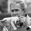 bush+eating+cat.jpg