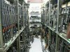 An average Texan's gun collection