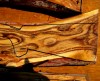 screwbean mesquite rifle stock.jpg