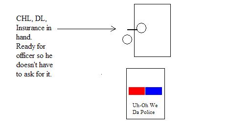 traffic stop.JPG