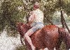 bareback.jpg